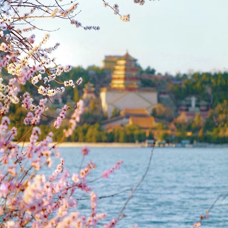 12人北京高端【二环四钻酒店连住】【故宫长城颐和园】小团精品游