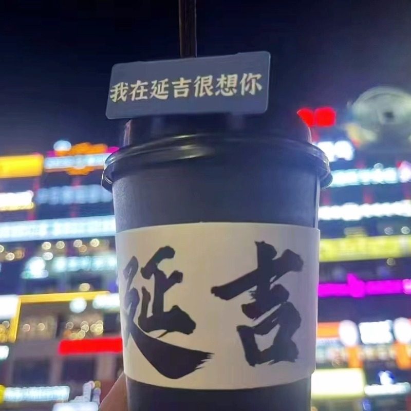 含机票 东北旅游长春长白山天池延吉万科滑雪5天4晚纯玩跟团2+1车