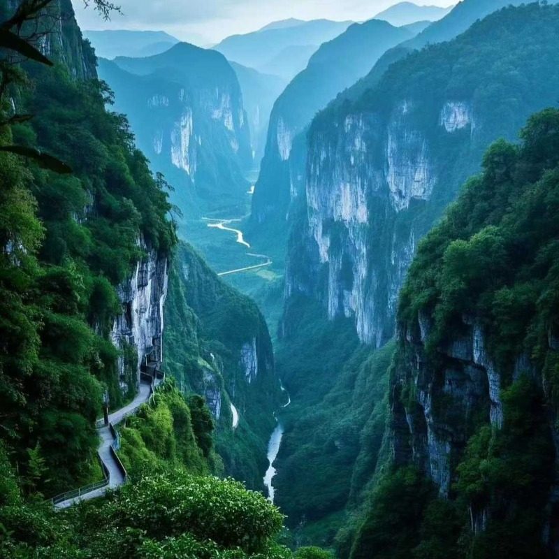 含机票重庆旅游天生三桥仙女山金佛山龚滩李子坝5天4晚纯玩跟团游