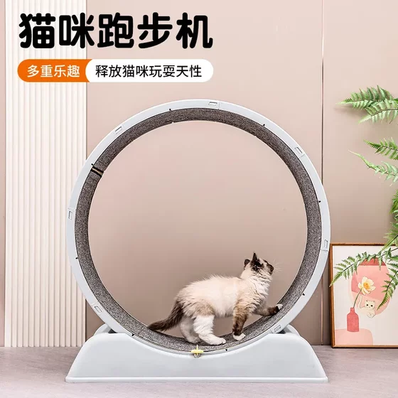 
Cat treadmill, dog fitness exercise, silent cat climbing frame, cat toy, cat running wheel, large pet products and toys