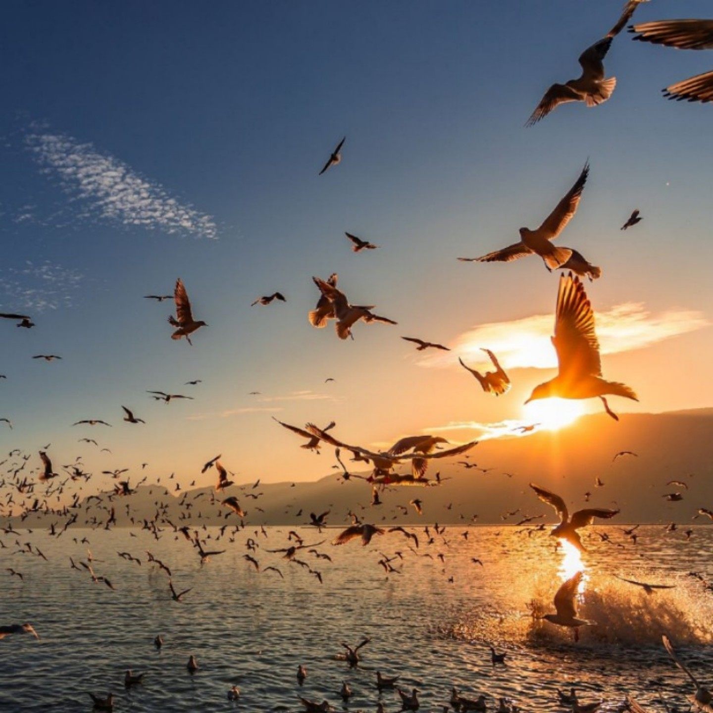 漫品旅途—云南 昆明大理丽江西双版纳8天7晚 四钻酒店 纯玩线路