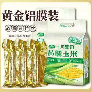 
25-year-old new corn authentic October rice field yellow waxy corn Northeast fresh low-fat soft waxy sweet brushed vacuum bag
