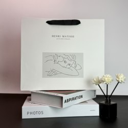 Gift Bag Paper Bag High-Grade Cardboard Tote Bag White Cardboard Girl's Shoe Box Clothing Storage Packaging Waterproof Shopping Bag