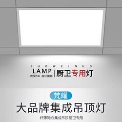Zhongshan Lighting Factory Direct Sales Integrated Ceiling Led Lights for Kitchen, Bathroom, Toilet, and Restroom Ceiling Lights and Panel Lights