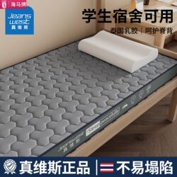 Haima Student Dormitory Single Latex Mattress Soft Cushion Tatami Mattress Sponge Pad Special for Rental Housing Floor Mat