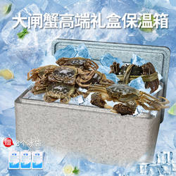 German Imported Postal Foam Box No. 4.3, Dedicated for Express Delivery, Food-Grade Cold Chain Epp High-Density No. 4 Insulation