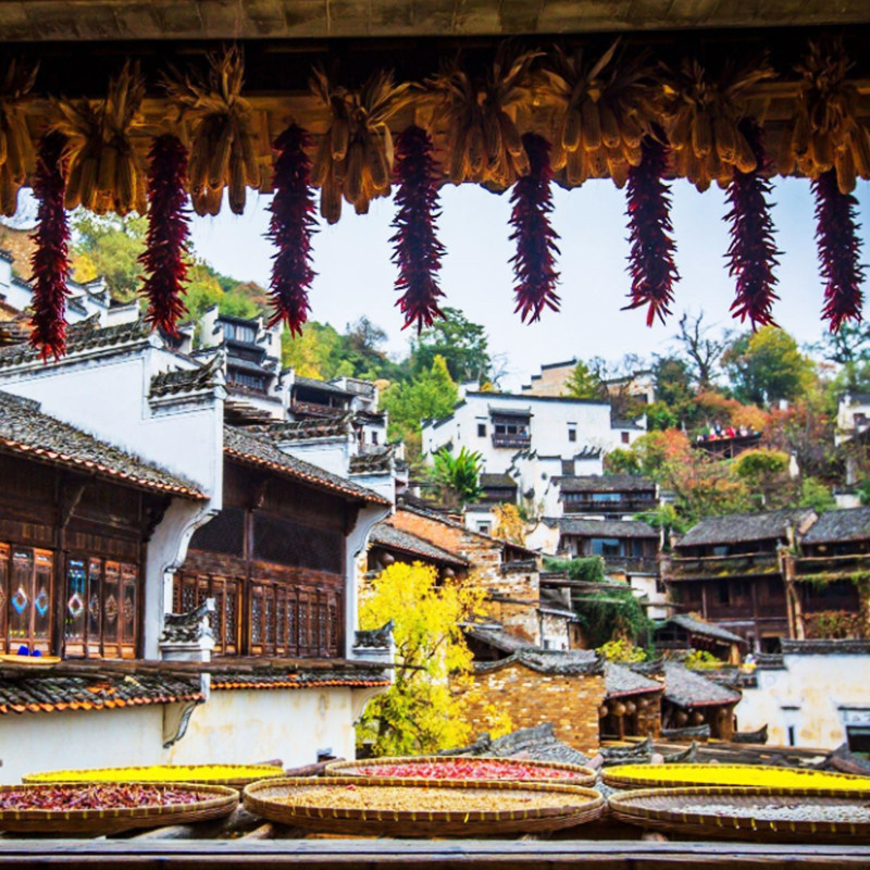 江西安徽旅游纯玩6天5晚跟团游婺源篁岭望仙谷景德镇黄山西递宏村