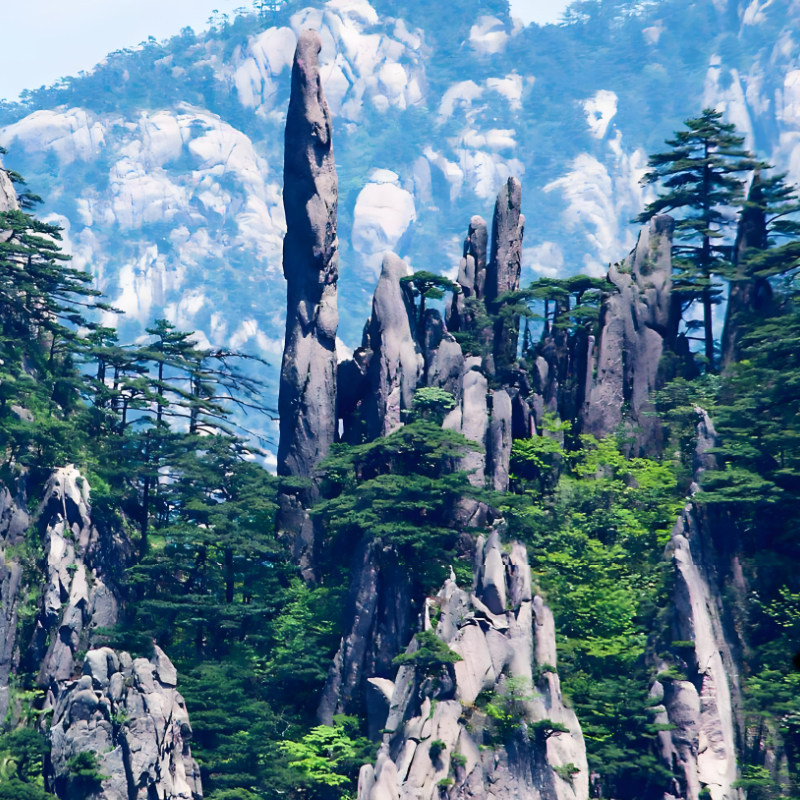 江西安徽旅游纯玩6天5晚跟团游婺源篁岭望仙谷景德镇黄山西递宏村