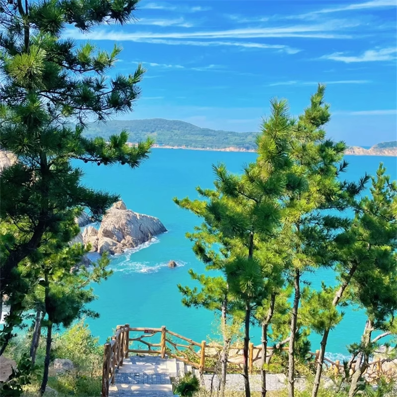 青岛旅游|青岛烟台威海蓬莱5天4晚跟团|双海鲜自助+亲子养生温泉