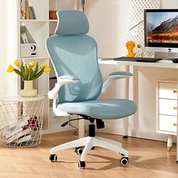 Computer Chair, Home Ergonomic Chair, Office Chair, Dormitory Study Chair, Waist-Protecting Backrest Chair, Gaming Chair
