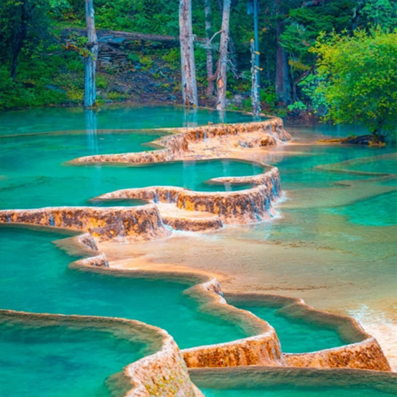 双飞/双动|四川旅游5天4晚0购物|成都九寨沟黄龙熊猫乐园/都江堰