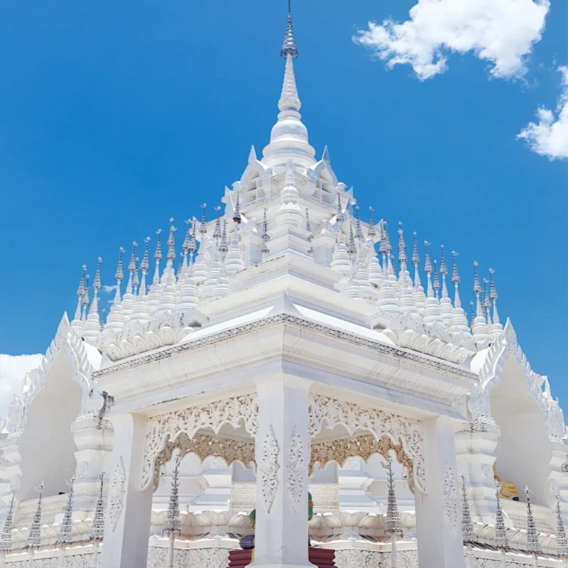 一单一团|独立用车|云南西双版纳旅游5天基诺山寨徒步自选酒店