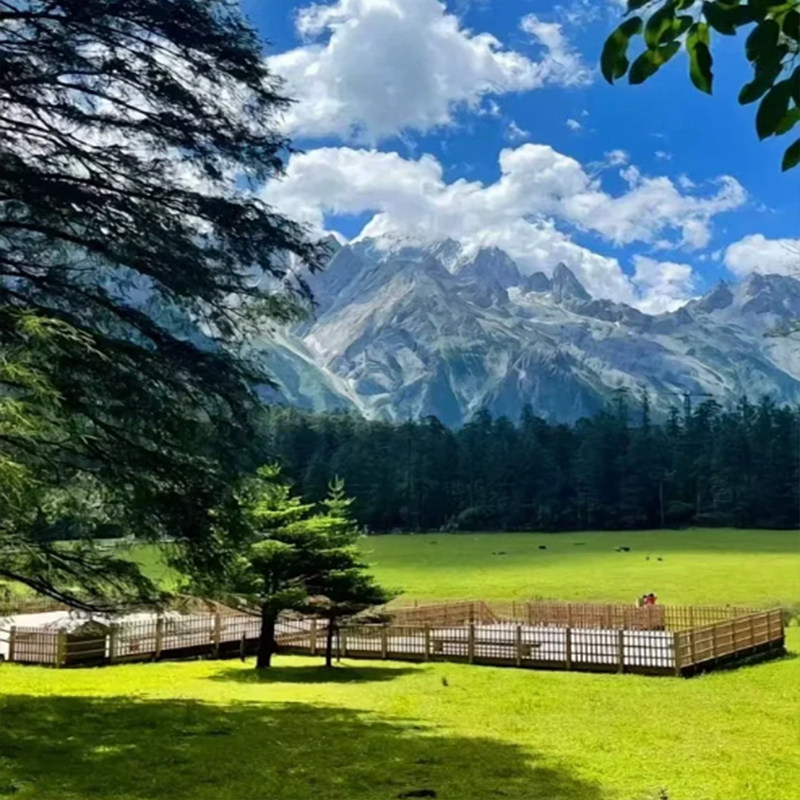 云南纯玩旅游6天5晚 | 昆明大理丽江洱海玉龙雪山云杉坪蓝月谷