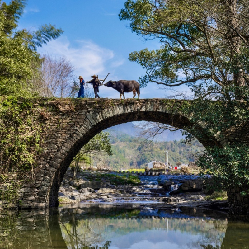 江西婺源【东北线】龙天塔+察关村+三眼桥+庆源2-6人团包车一日游