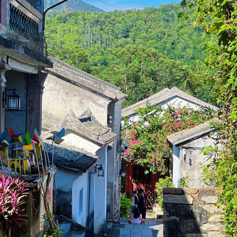 深圳一日游 2-6人团大鹏半岛天文台栈道鹅公湾桔钓沙 包车旅游