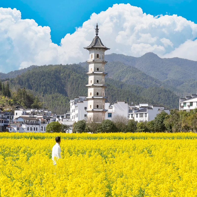 江西婺源【东北线】龙天塔+察关村+三眼桥+庆源2-6人团包车一日游