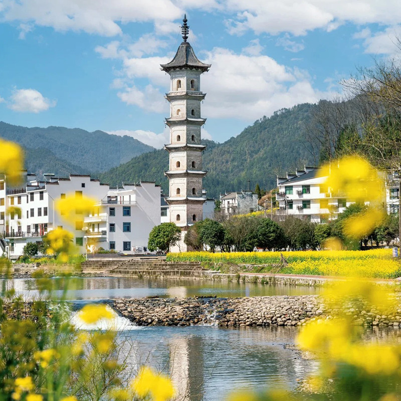 江西婺源【东北线】龙天塔+察关村+三眼桥+庆源2-6人团包车一日游