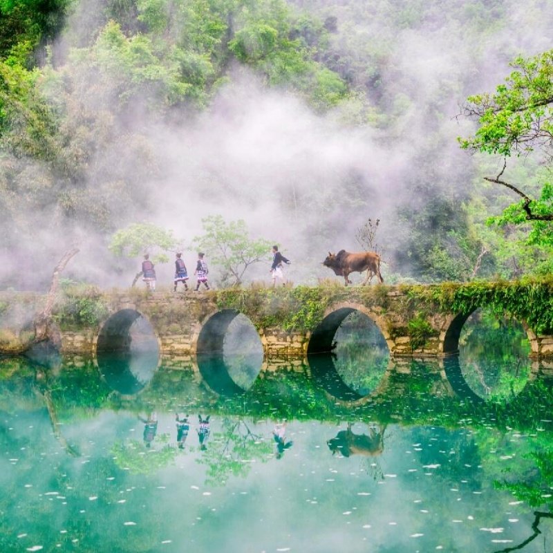 贵州纯玩5日游黄果树瀑布+青岩古镇+大小七孔+肇兴侗寨+梯田风光