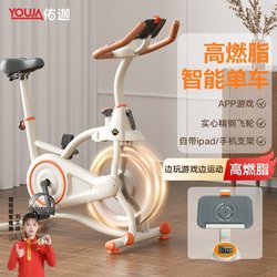 Dynamic Bicycle for Home Use, Fitness Equipment for Gym Use, Indoor Sports, Home Smart Magnetic Control Bicycle