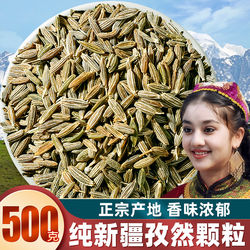 New Large Cumin Seeds 500g Barbecue Seasoning for Grilling Meat, Fish, Skewers, Marinade, Dipping Sauce, Hot Pot, Home and Commercial Use