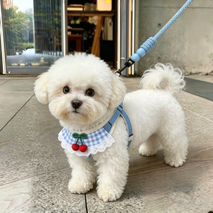 狗狗猫咪牵引绳背心小型背带外出遛狗挣脱调节泰迪链子幼犬胸背