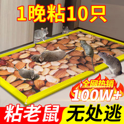Sticky Mouse Board with Strong Glue, Mouse Trap for Catching Large Mice, New Model, Enlarged and Thick, Super Strong, Household Mouse Catcher and Repellent Tool
