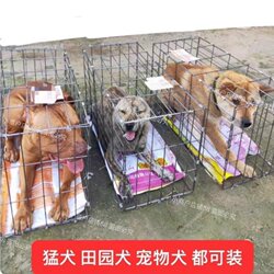 Reinforced Dog Cage for Medium and Large Dogs, Transport Cage, Shipping Crate, Pet Transport Crate, Foldable