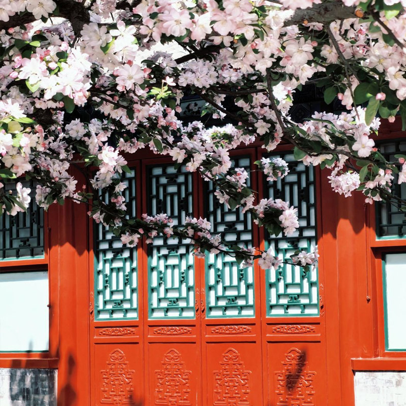 北京环球影城纯玩小团漫游故宫恭王府3环高档酒店6天5晚跟团旅游