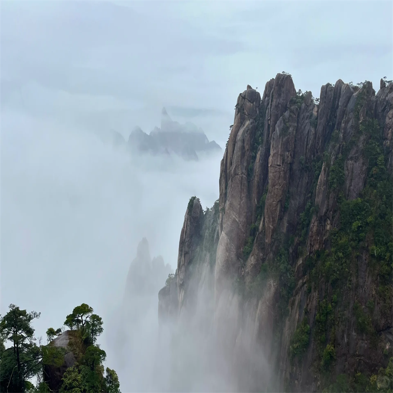 【江西婺源起止-世界遗产三清山】精品纯玩一日游 婺源城区范围内