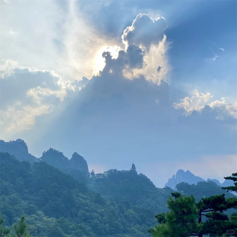 大美黄山、千岛湖中心湖区【乘船+登岛】、 西递+宏村 5天4晚