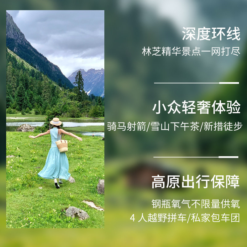 4人小团西藏旅游林芝雅鲁藏布江鲁朗巴松措新措3天2晚拼车跟团游
