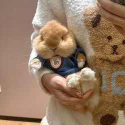 Rabbit Clothes Cute Plush Thickened Warm Anti-Shedding Pet Clothing Extra Small Size Rabbit Outfit Hoodie Set
