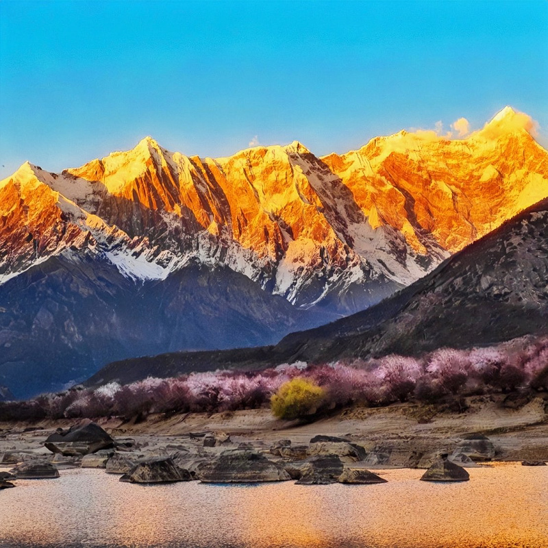 西藏18人小团纯玩【无自费无年龄限制】【拉萨布达拉宫林芝羊湖】