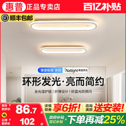 Hp Lighting Corridor Ceiling Light Modern Minimalist Entryway Light Nordic Minimalist Long Strip Cloakroom Light