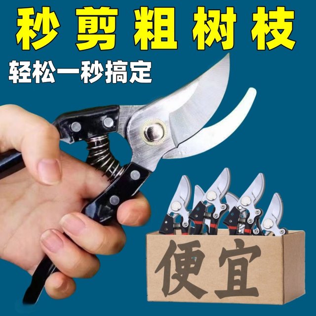 Garden scissors, pruning shears, gardening fruit tree scissors, branch shears, spring tea tree scissors, branch special pruning shears tools