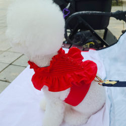 Autumn Red Cat Clothes Teddy Bichon Pomeranian