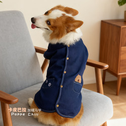 Corgi Clothes for Small and Medium-Sized Dogs, Winter Wear 2025 New Autumn Schnauzer Vest Shiba Inu French Bulldog