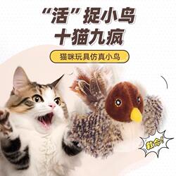 Cat Toy with Realistic Bird Sounds, Self-Entertainment Gadget, Cat Teaser Stick for Energy Consumption, Kitten Toy, Cat Supplies
