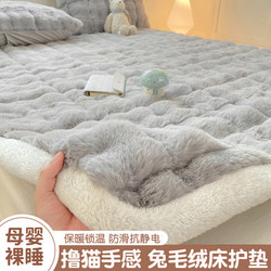 Milk Velvet Mattress Winter Student Dormitory Single Lamb Velvet Soft Cushion Home Bedroom Tatami Plush Mattress