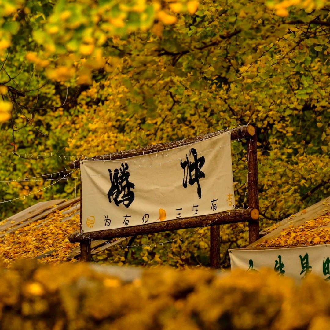 0购物一价全含云南旅游腾冲6天5晚跟团私家团含昆明双动往返-飞猪