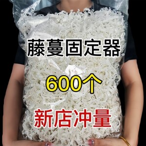 
Cucumber, tomato, beans, crawling branches, fixing device, green plants, vegetables, tie, vines, special garden tools