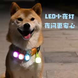 Dog Night Walking Anti-Lost Device, Glowing Pendant, Flashing Pendant, Pet Accessory Tag, Night Light
