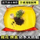 Gardening floor mat Household planting soil replacement mat Tool mixing soil balcony waterproof green plants potted plants soil replacement mat
