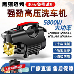 Car Wash Machine High-Pressure 220V Household Cleaning Machine High-Power Fully Automatic Car Wash Tool Convenient Small Car Washing Pump