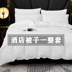 Hotel and B&B white four-piece hotel bedding quilt complete set full set quilt core pillow core seven-piece set