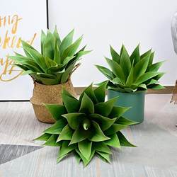 Simulated agave fake trees and fake green plants Nordic tropical desert plants agave succulent plant landscaping decoration