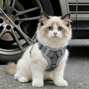 
Cat leash, anti-breakaway, vest-style harness, adjustable ragdoll gold gradient cat chain for walking cats