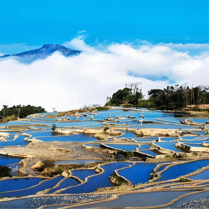 云南旅行蒙自建水多依树往返元阳多彩梯田纯玩2日游1-6人团二日游