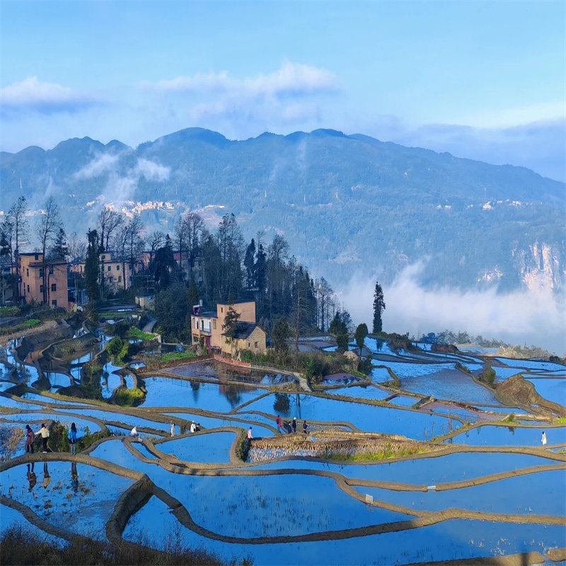 云南旅行蒙自建水多依树往返元阳多彩梯田纯玩2日游1-6人团二日游