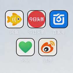 Soul/Xianyu/Xy/Weibo/Baijiahao/Applications Various Functional Issues Cannot Be Resolved, Business Consultation Is Required